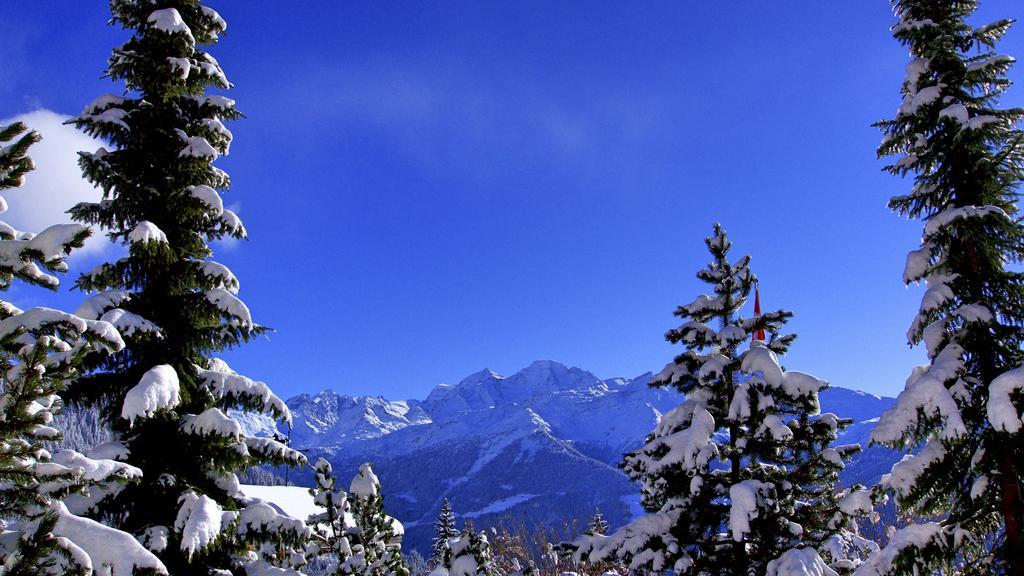 Hotel Montpelier Verbier Exterior foto